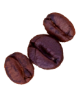 cafe-img2